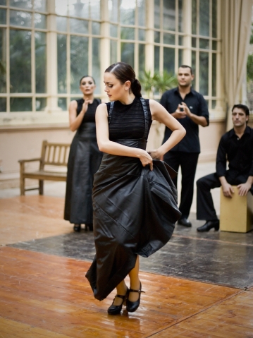 Female Flamenco Dancer