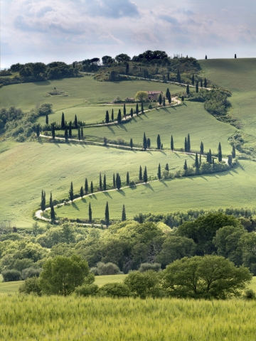 Curving Tuscan Road