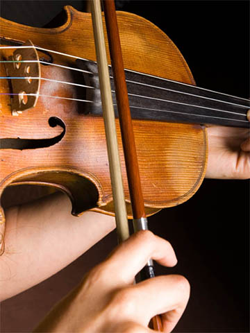 violin